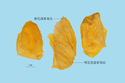 Chicken's Gizzard-membrane
