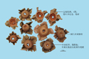 Persimmon Calyx and Receptacle