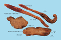 Songaria Cynomorium Herb