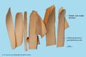 Sandalwood