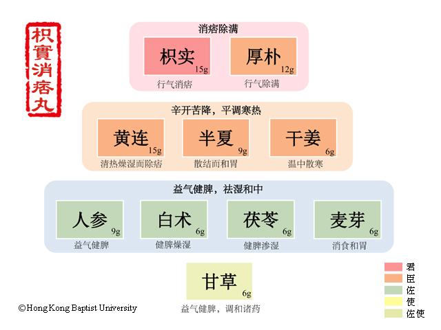 枳实消痞丸