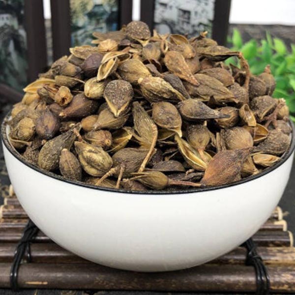 墨源 秦岭连翘 250克